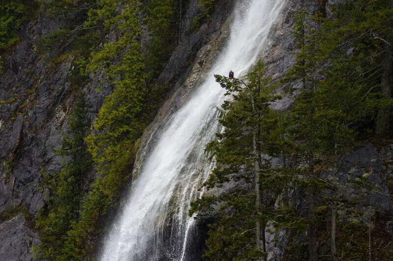 Campbell River: Spring Bear Watching & Waterfalls Boat Tour - Who Should Consider This Tour