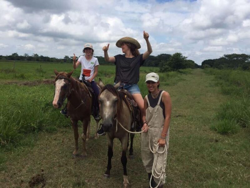 Campeche: Palenque, Sabancuy, & Palizada 2-Day Tour - A Close Look at the 2-Day Itinerary