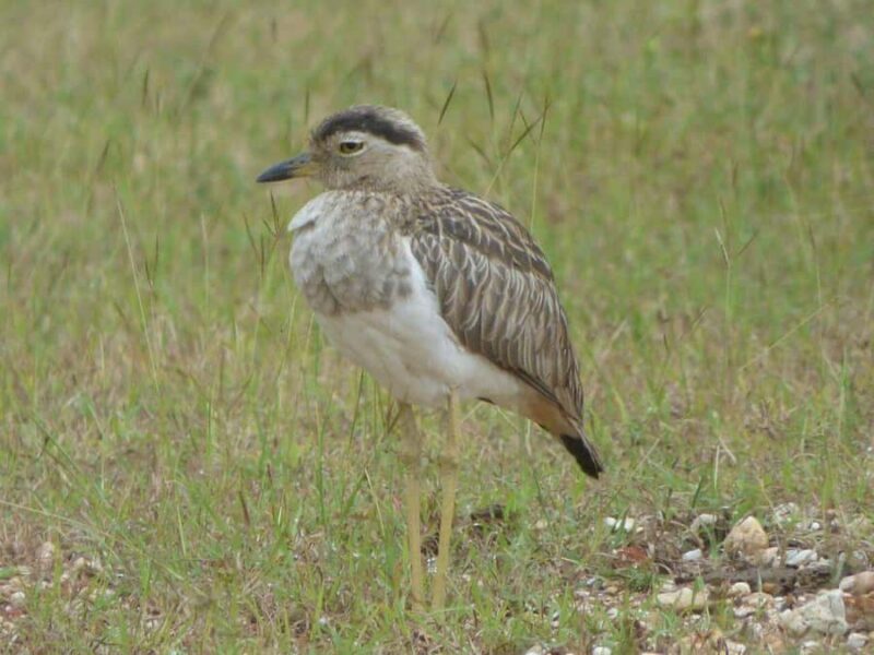 Campeche: Palenque, Sabancuy, & Palizada 2-Day Tour - Final Thoughts