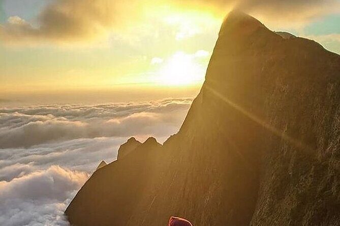 Camping Suriyaneli/Munnar Kerala - The Sum Up