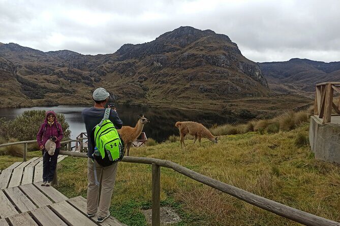 Camping Tour Cajas National Park from Cuenca - Authenticity and the Experience