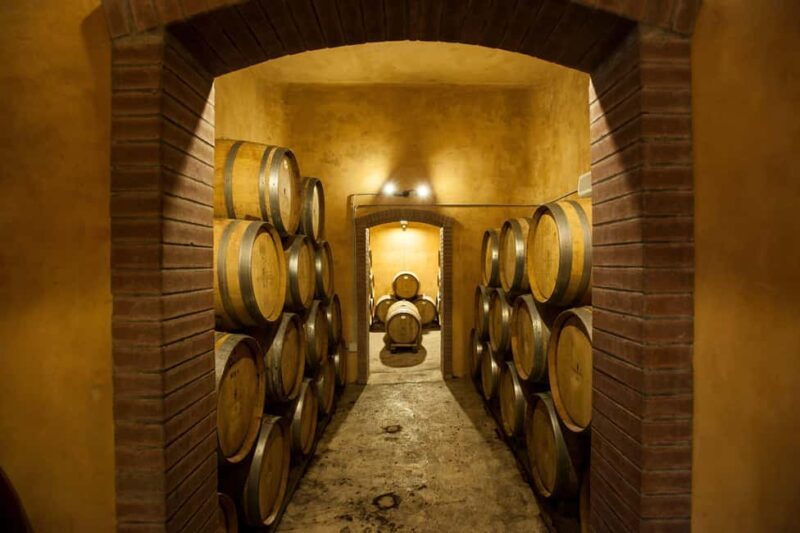 Camporeale: Sallier de La Tour Wine Discovery Tour - Discover the Sallier de La Tour Wine Tour in Sicily