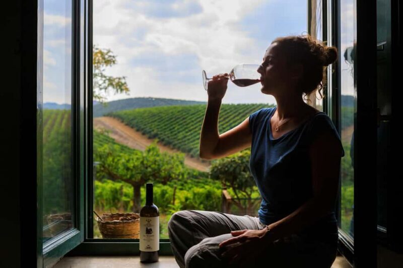 Camporeale: Sallier de La Tour Wine Discovery Tour - Who Will Appreciate This Tour?