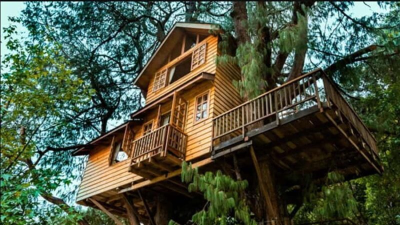 Campos do Jordão: Private 8 Hour Tour - In-Depth Review: Making the Most of Your Campos do Jordão Day