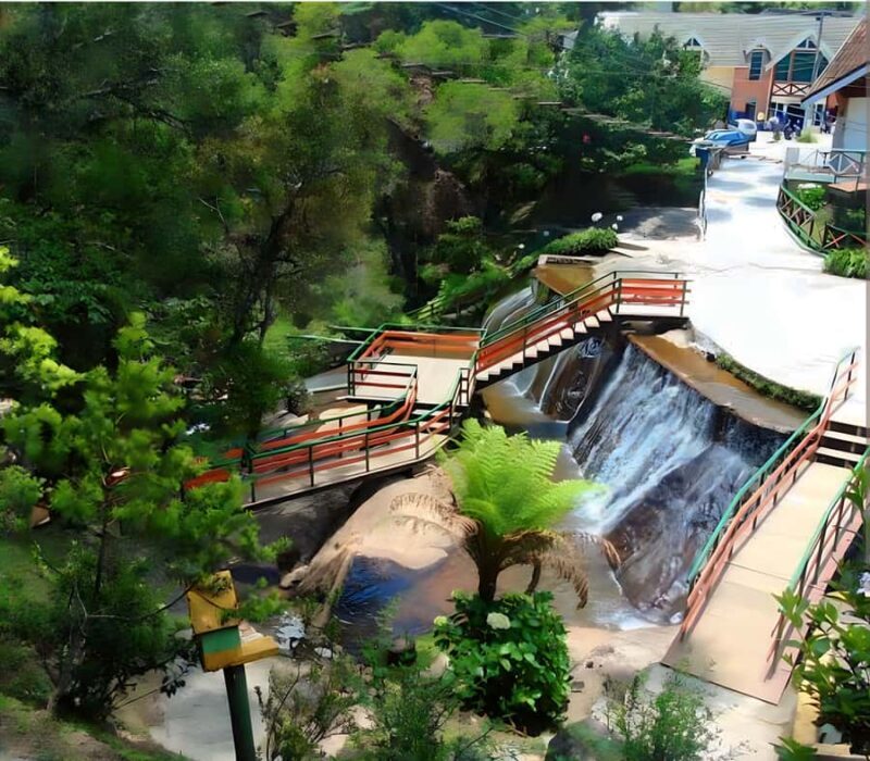 Campos do Jordão The Brazilian Switzerland,Full Day Trip - The Value and Practical Details