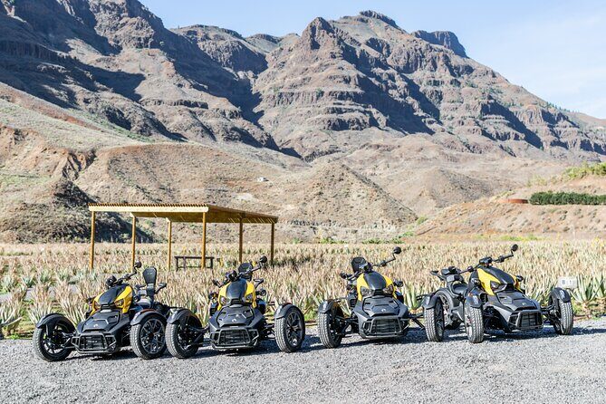 Can-am Ryker three wheels tricycle Mountain Tour (Maspalomas) - Frequently Asked Questions
