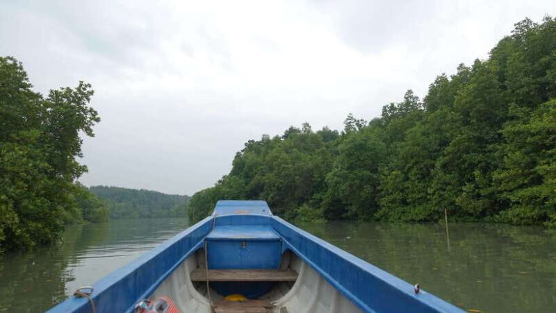 Can Gio Day Tour: Monkeys, Crocodiles, Canoe & Seafood Lunch - Summary & The Sum Up