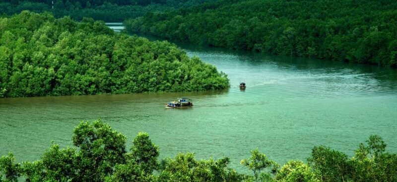 Can Gio: Discovery Vam Sat EcoPark - Can Gio Island Day Trip - Can Gio: Discovery Vam Sat EcoPark - Can Gio Island Day Trip