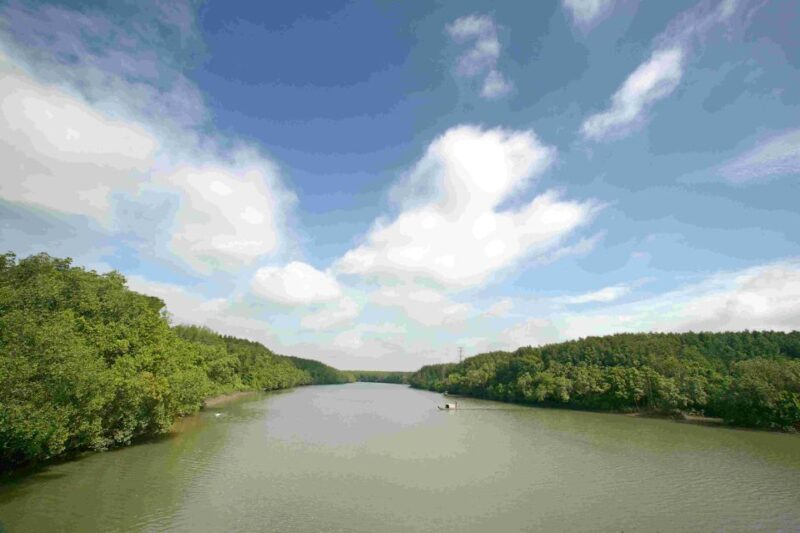 Can Gio: Discovery Vam Sat EcoPark - Can Gio Island Day Trip - What Travelers Say: Authentic Insights