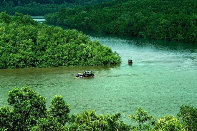 Can Gio Mangrove Forest Island Private Tour From Ho Chi Minh City - Exploring the Can Gio Mangrove Forest: A Genuine Nature Escape from Ho Chi Minh City