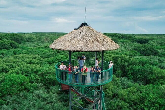 Can Gio Mangrove Forest Island Private Tour From Ho Chi Minh City - Who Will Love This Tour?