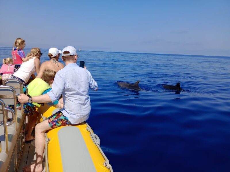 Can Picafort: Dolphin Watching Boat Tour, Swimming stop - An Authentic Mallorca Sea Adventure