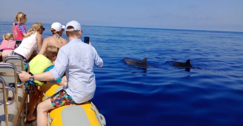 Can Picafort: Dolphin Watching Boat Tour, Swimming stop - Who Is This Tour Best For?