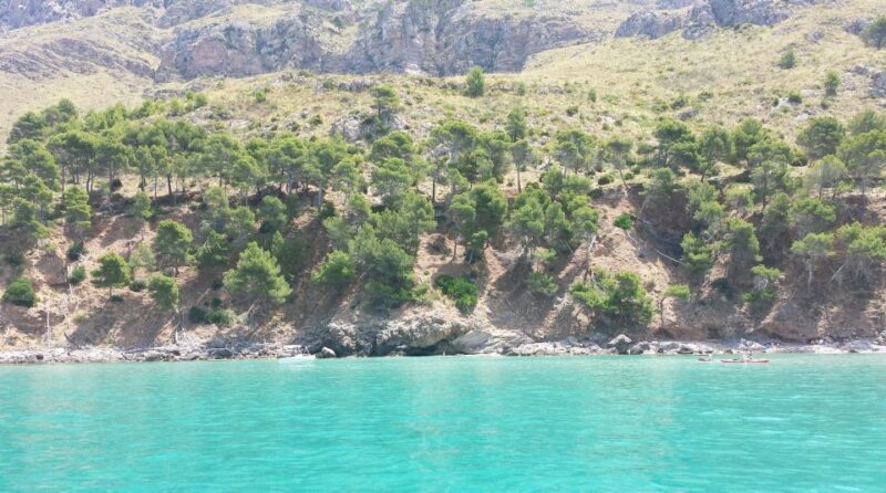 Can Picafort HalfDay Boat Excursion - In-Depth Review of the Can Picafort Half-Day Boat Excursion