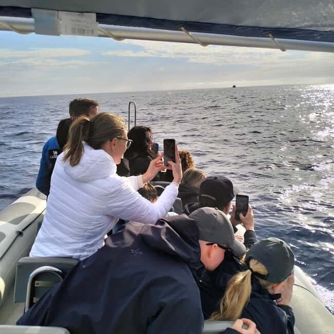 Can Picafort or Alcudia: Private boat - Why This Tour is a Great Choice