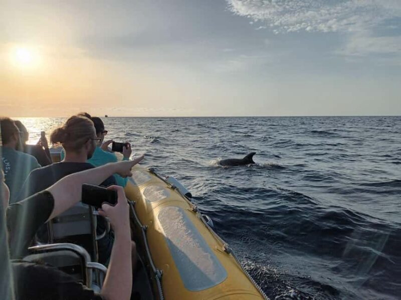 Can Picafort or Alcudia: Private boat - FAQ