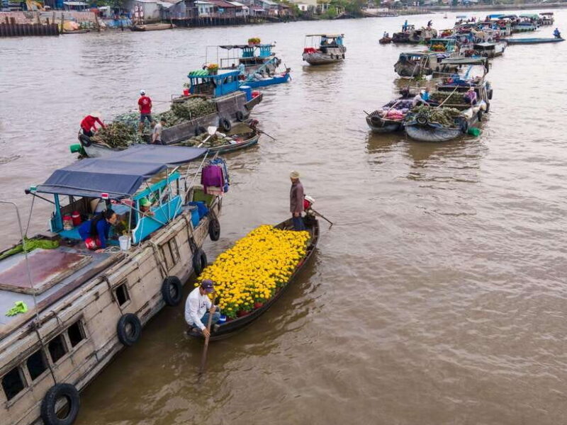 Can Tho: A Real Mekong Tour, Floating Market, Cacao & Life's - Who is This Tour Best For?