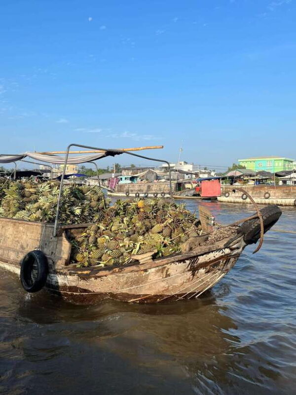 Can Tho: Cai Rang Floating Market and Canals - Can Tho: Cai Rang Floating Market and Canals — An Authentic Mekong Experience