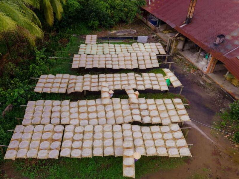 Can Tho: Explore Mekong, Floating Market, Cacao & Local Life - Who Will Love This Tour?