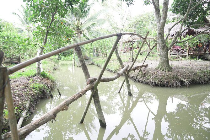 Can Tho Floating Market and Fruit Garden Tour - Who Should Consider This Tour?