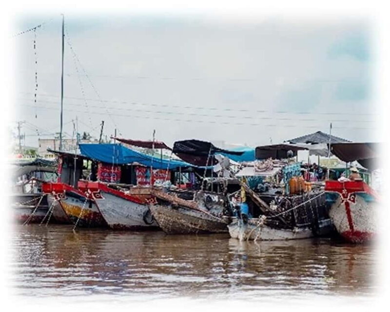 Can Tho: Hau River Full-Day Luxury Yacht Trip with Lunch - Practical Tips for Travelers