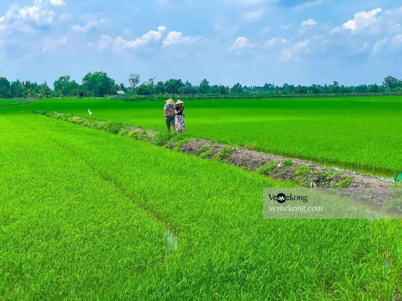 Can Tho: Lung Ngoc Hoang Forest Nature Reserve Half-Day Tour - Final Thoughts