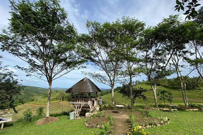Can-umantad Falls and candijay rice terraces Eco Tour - Exploring the Itinerary in Detail