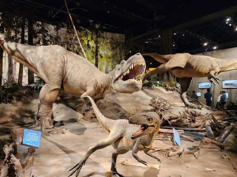 Canadian Badlands Private Tour - Exploring the Alberta Badlands: A Private Tour of Dinosaur Wonders and Scenic Beauty