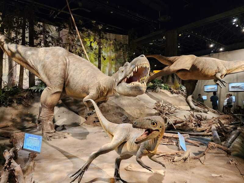 Canadian Badlands Private Tour - The Sum Up