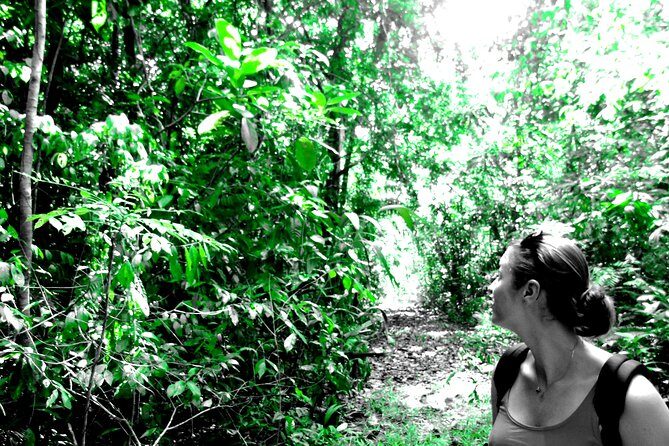 Canal expansion Agua Clara, Rainforest safari & San Lorenzo Fort - The Sum Up: Who Will Love This Tour?