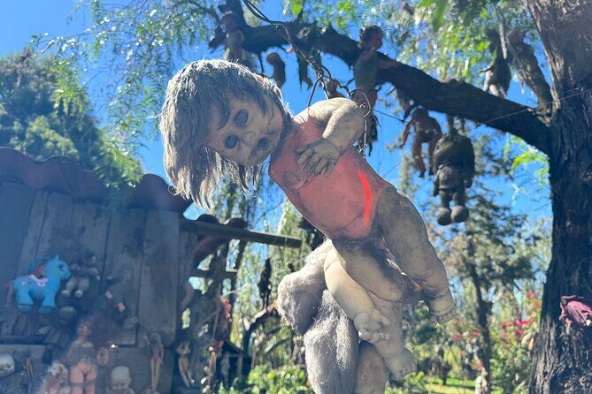 Canals Boat Tour + Doll Island + Ajolote Shrine - Sailing Through the Canals: Two Different Vibes