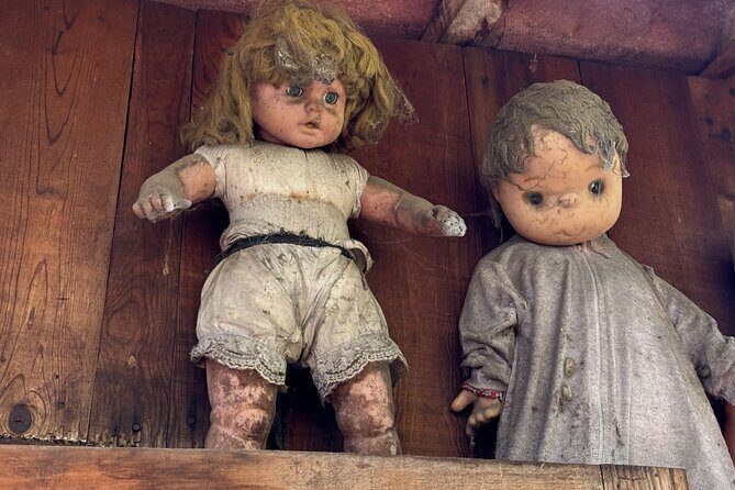 Canals Boat Tour + Doll Island + Ajolote Shrine - Food, Drinks, and Fun Activities