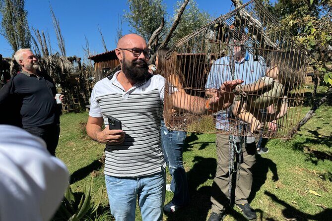 Canals Boat Tour + Doll Island + Ajolote Shrine - Practical Details and Considerations