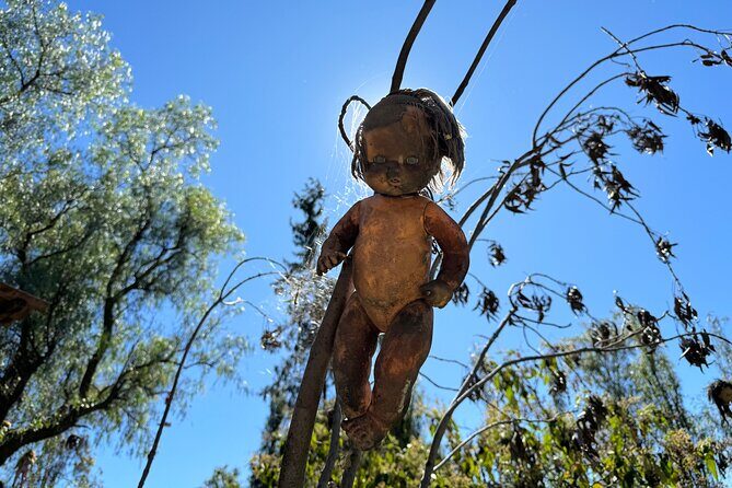 Canals Boat Tour + Doll Island + Ajolote Shrine - Who Will Love This Tour?