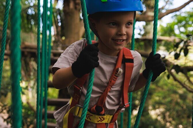 Canberra Junior Tree Ropes Course - Key Points