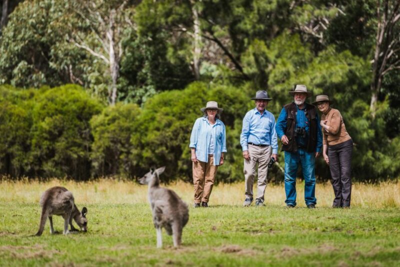 Canberra: Kangaroos and Koala Experience Tour - Deep Space Tracking Station: Australia’s Space Legacy