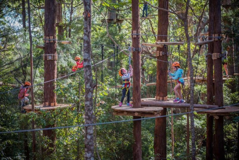 Canberra: Majura Pines Junior Tree Ropes Course - What Is the Majura Pines Junior Tree Ropes Course?