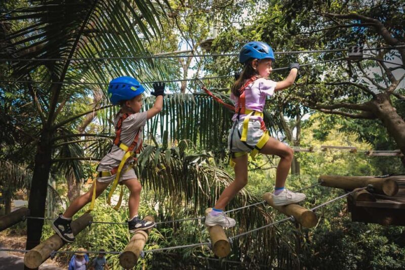 Canberra: Majura Pines Junior Tree Ropes Course - How the Experience Is Structured