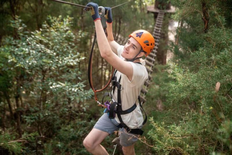Canberra: Majura Pines Tree Ropes Course - Key Points