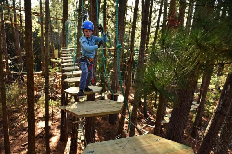 Canberra: Majura Pines Tree Ropes Course - An In-Depth Look at the Majura Pines Tree Ropes Course
