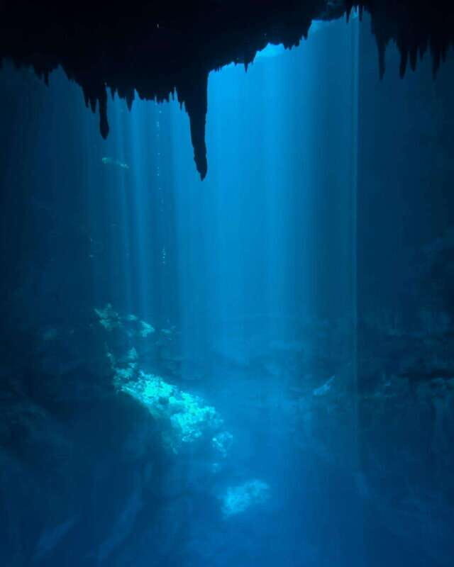 Cancun 2 Cenote Dives: The Pit & Dos Ojos - Certified Divers - A Detailed Look at the Cenote Dives Experience