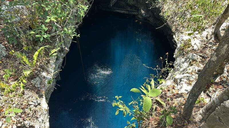 Cancun 2 Cenote Dives: The Pit & Dos Ojos - Certified Divers - Why This Tour Is Worth Considering