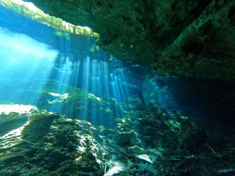 Cancun 2 Cenote Dives: The Pit + Nicte Ha - Certified Divers - Who Is This Tour For?