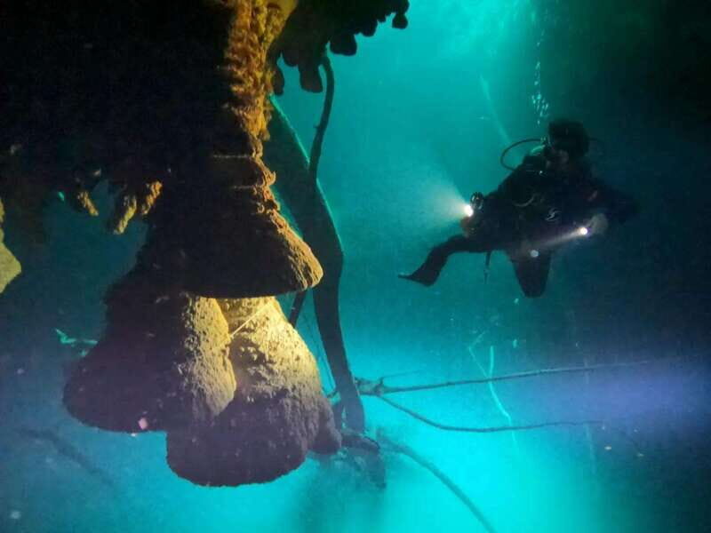 Cancun: 2 Dives in Cenotes Ki Ha + Zapote - Certified Divers - What to Expect on This Cenote Adventure