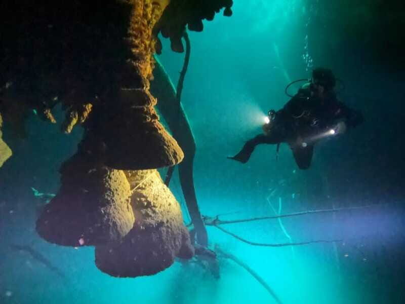 Cancun: 2 Dives in Cenotes Ki Ha + Zapote - Certified Divers - The Sum Up