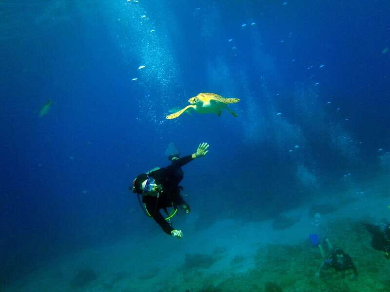 Cancun: 2-Tank Dive for Beginners with MUSA and Reef Dive - FAQs
