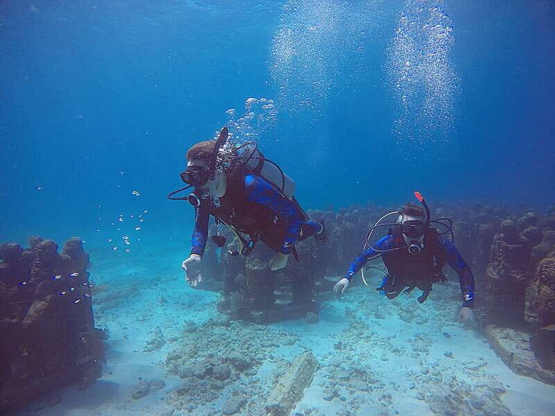 Cancun: 3 Days SDI Open Water Diver Certification - An Honest Look at the Cancun SDI Open Water Diver Certification