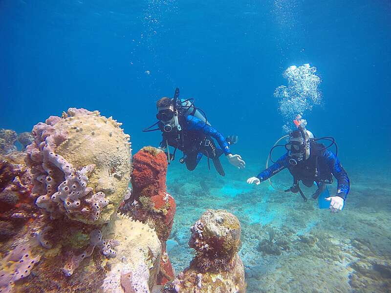 Cancun: 3 Days SDI Open Water Diver Certification - More Details on the Experience