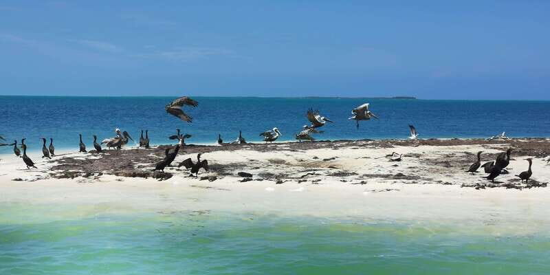 Cancun: 3 Islands Snorkel Adventure - FAQ