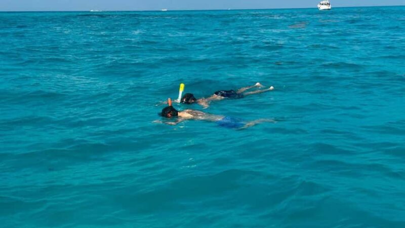 Cancun: 4-Hour Snorkeling Adventure for All Ages - Key Points